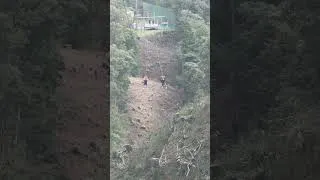Thumbnail: 🌄 We survived the Shuzen Zip! 😅