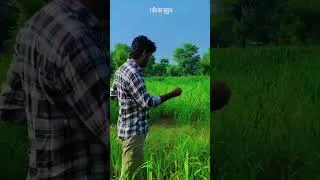 Thumbnail: Real sukoon of life in village 😊🌄 #villagelife #teacherlife #shorts #villagevlog #villagelifestyle