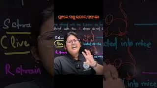Thumbnail: 🐭 ପ୍ରଥମେ ପଶୁଙ୍କ ଉପରେ ଔଷଧର ପରୀକ୍ଷା କାହିଁକି କରାଯାଏ? 💊 | ସତ୍ୟ ଜାଣନ୍ତୁ | #shorts