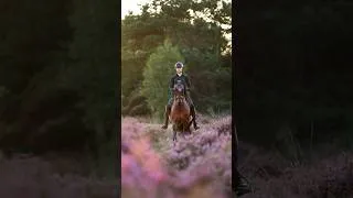 Thumbnail: A purple ride to remember 💜 wearing Dark Violet collection form Equestrian Stockholm