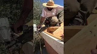 Thumbnail: Most People DON'T Know This.. #construction
