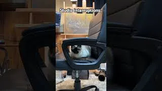 Thumbnail: At least she keeps my studio chair warm.. #studio #wildlifeart #artwork