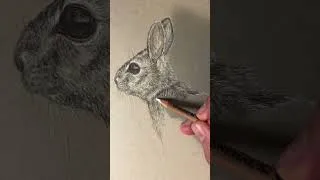 Thumbnail: Doodling a young rabbit #dailysketch #rabbit #drawing
