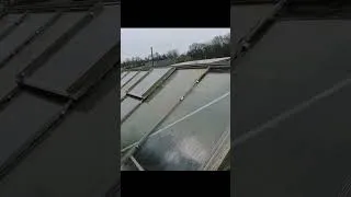 Thumbnail: Greenhouse clean with water fed pole