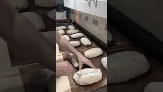 Thumbnail: Brie, cranberry and pecan sourdough from start to finish 🤌🏼