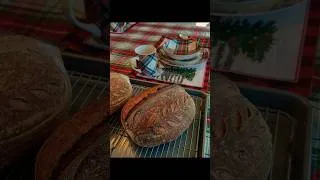 Thumbnail: Happy Thanksgiving! #sourdough #food #artisan #cooking #baking #french #bread #rustic #thanksgiving