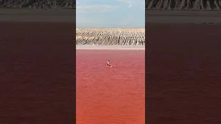 Thumbnail: Kazakhstan x DJI Mavic 4 Pro