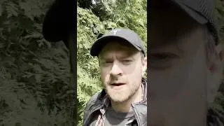 Thumbnail: They’re trying to BLOW UP Mt. Rushmore…