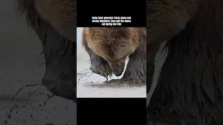 Thumbnail: Low tide is the best time to see this action