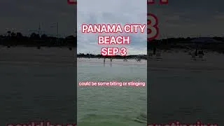 Thumbnail: #shorts Panama City Beach conditions