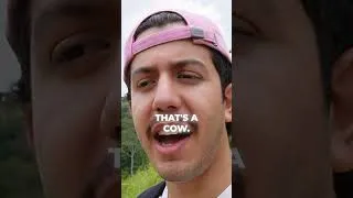 Thumbnail: I did a funny. 7 days learning to surf in Sri Lanka.