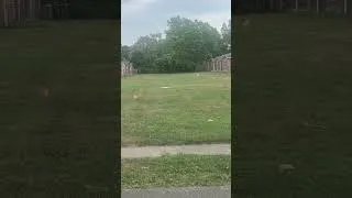 Thumbnail: The backyard where we played different activities during childhood