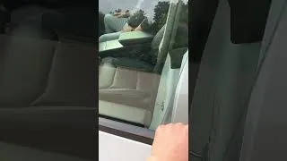 Thumbnail: Open Your Tesla’s Door Correctly!