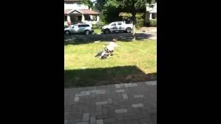 Thumbnail: Look I can ride with one hand
