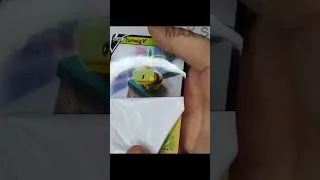 Thumbnail: Gen 4 vs Gen 8 Starters Extended Art Pokémon Cards! 🍃🔥💧 #Shorts
