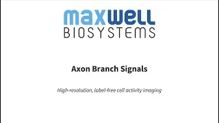 Thumbnail: Tracking Axonal Branch Signals