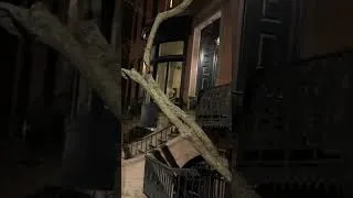 Thumbnail: Site of A Paranormal Haunted House Of Death. Greenwich Village NYC