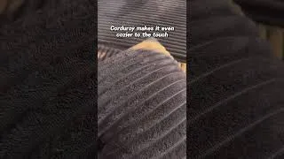 Thumbnail: The Sofa That Makes Home Better 🛋️✨