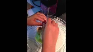Thumbnail: A Birthday Cake for Milan