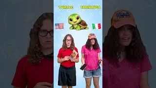 Thumbnail: English vs Italian! | Learn Languages for Kids