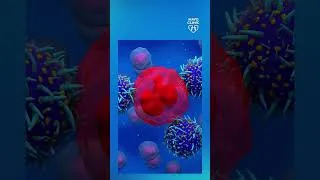 Thumbnail: Could milk-derived nanoparticles change bile-duct cancer care? | Tomorrow's Cure Season 5 Episode 4