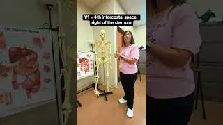 Thumbnail: 12-Lead EKG Electrode Placement – Classroom Demo