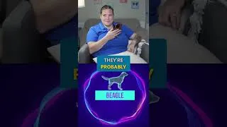 Thumbnail: Don't Get a Beagle Until You Watch This