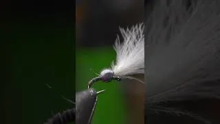 Thumbnail: 4 Ways to Tie This Midge Abdomen