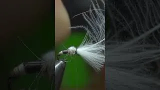 Thumbnail: Why CDC Works So Well for Dry Flies