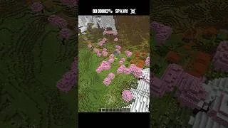 Thumbnail: 00.00003% Spawn ☠️