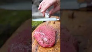 Thumbnail: Perfect Tuna Steak Sandwich in the Wild