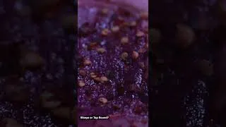 Thumbnail: Philly Cheesesteak Meat War: Ribeye vs. Top Round