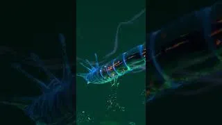 Thumbnail: Ghost Leviathan Attack Subnautica 4K 60FPS - Full Video on This Channel #leviathan #subnautica
