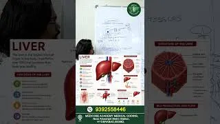 Thumbnail: 🩺 Anatomy Basics for Medical Coding | #CPCExam Preparation | Human Anatomy in 60 Seconds #shorts