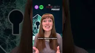 Thumbnail: Will your security risk analysis actually make life easier?