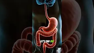 Thumbnail: What Happens to Your Body When You Skip Breakfast? 🧠 | Science Explained #shorts