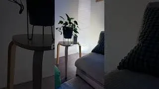 Thumbnail: paper lamps ftw
