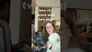 Thumbnail: how i fly alone with 2 dogs