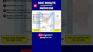 Thumbnail: Here’s How the Herpes Virus Keeps Coming Back — in 60 Seconds 🦠🔁