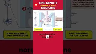 Thumbnail: Here's What Ritalin Does in the ADHD Brain 🧠💊