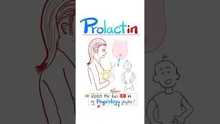 Thumbnail: Prolactin - Hypothalamus, Pituitary Gland - Endocrinology...#nurse #doctor #science #biology #NCLEX