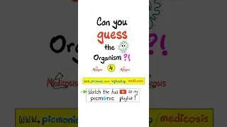 Thumbnail: Can you Guess the Organism (#4) -  Bacteria, Gram-Positive, Urinary Tract Infection (UTI)