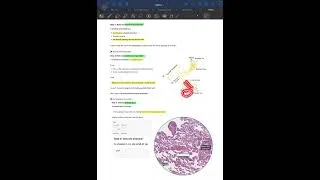 Thumbnail: lungs 🫁 histopathology neetpg inicet mcq discussion #neetpg #inicet 