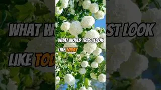 Thumbnail: Trust In You! #innerpeace #guidedmeditation #emotionalhealing #lawofattraction #selflove