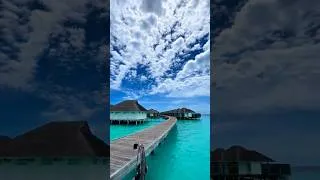 Thumbnail: Drift away 🏝️ with soothing lounge & chillout ambiance. ☀️ 2026 Summer Collection ☀️