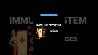 Thumbnail: introduction to the Immune System #humananatomy #anatomy #shortvideo #educational