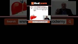 Thumbnail: Elevated Liver Enzymes (Quick note)