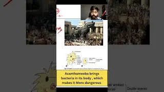 Thumbnail: Why Acanthamoeba is Called the Trojan Horse #biology  #mltstudents #dmlt #parasitology #mbbs #bmlt