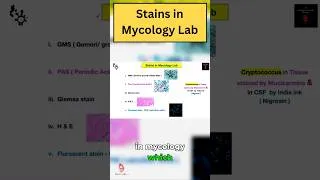 Thumbnail: 5 Must-Know Staining Methods for Fungal Identification #mycology #dmlt #labtech