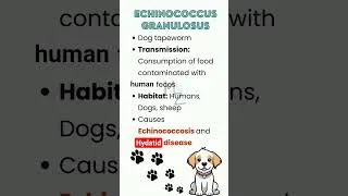 Thumbnail: Echinococcus granulosus #medzukhruf #med #parasitologia #parasites #disease #viralvideo